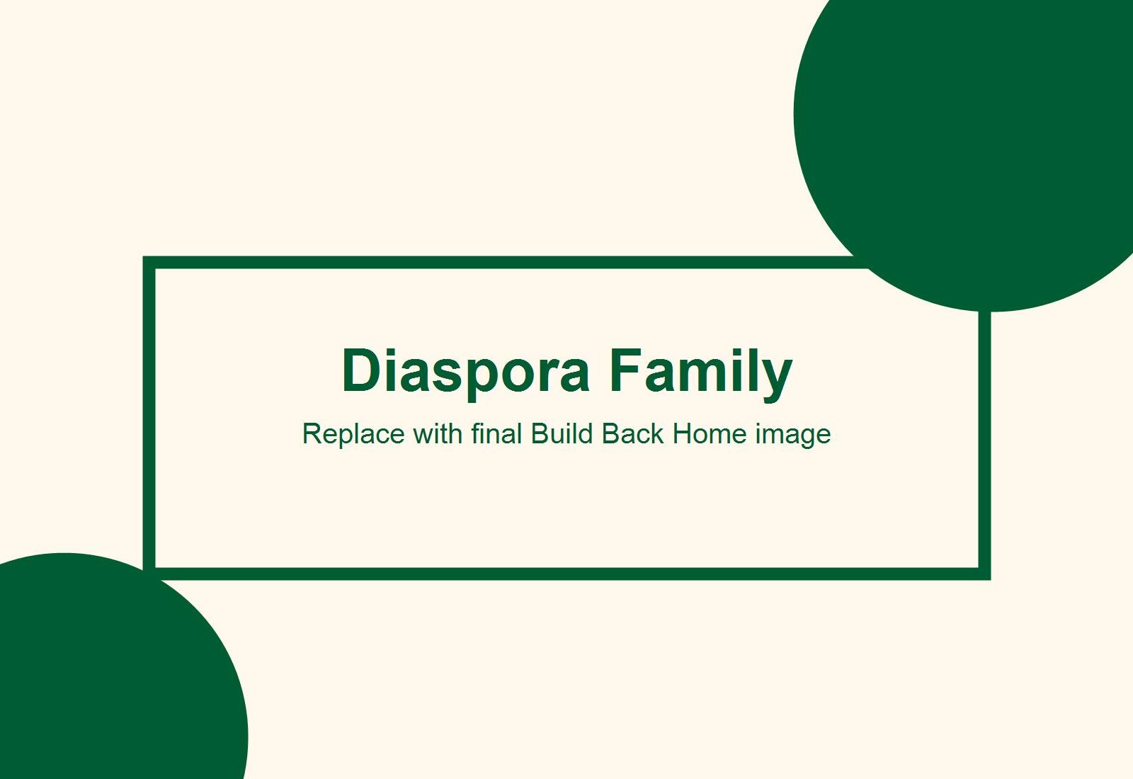 Diaspora family planning a home project